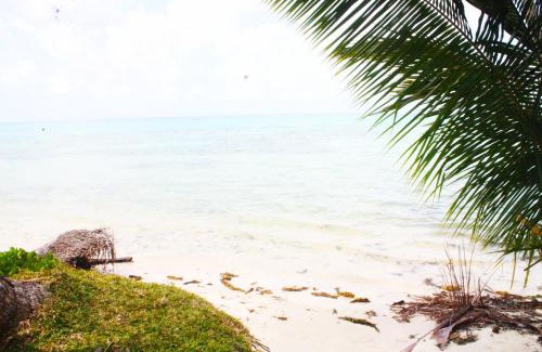 Nosy Boraha Apartment | Le jardin secrète