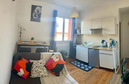 Quartier Exposition-Bajatiere Apartment | Le Jean Perrot rent4night grenoble