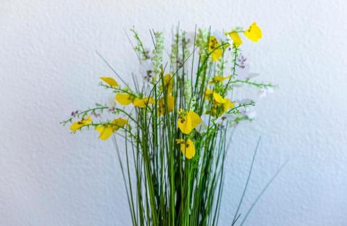 Bourges Apartment | Le Lahitolle