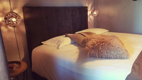 Vielsalm Bed & Breakfast | Le Lodge des Flâneurs