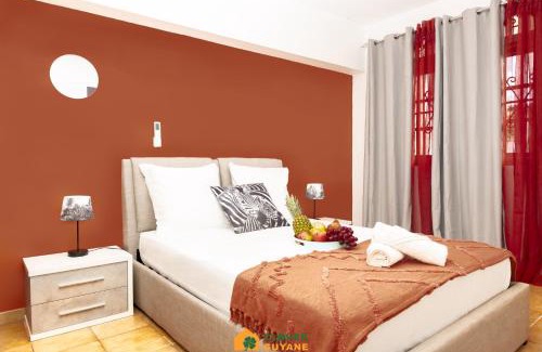 Cayenne Apartment | Le Lodge Safari - Centre-ville - Deux terrasses