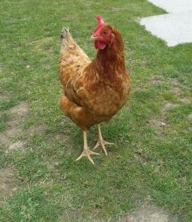 Sevremont House | Le Logis Du Prieure