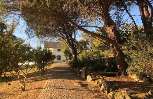 Cadillac Apartment | Le logis de Colette Gîte indépendant dans grande villa