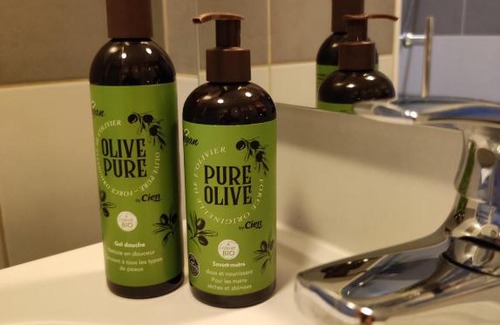 Thionville Apartment | Le LUX 31