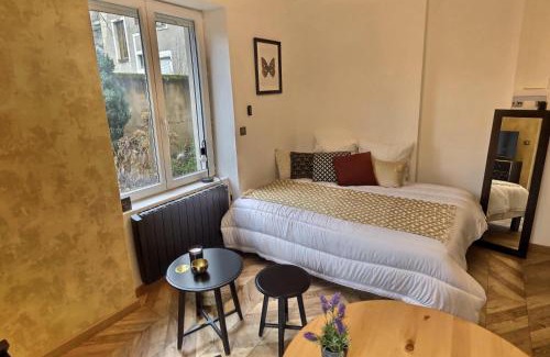 Nouvelle Ville Apartment | Le Mangin - Studio avec terrasse