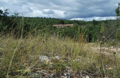 Sault Bed & Breakfast | Le Mas de Loume