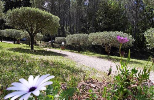 Salernes Bed & Breakfast | Le Mas des Oliviers