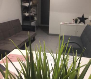 Sainte-Croix-en-Plaine Apartment | Le Megève