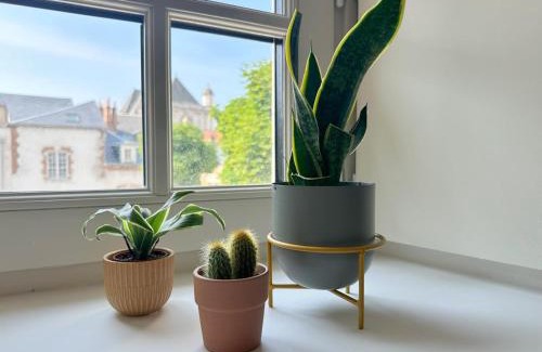 Orleans Apartment | Le Mosaïc - Appartement Design - 2 chambres avec parking privé à Orléans hyper centre