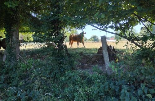 Sablonnieres House | Le moulin aux lunettes