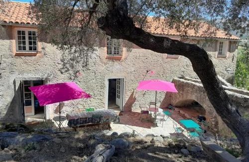 Busca Malo Villa | Le Moulin de l'Ostriconi