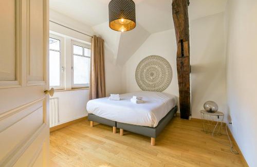 Dijon Centre Ville Apartment | Le Mucie*LOFT au centre ville de Dijon