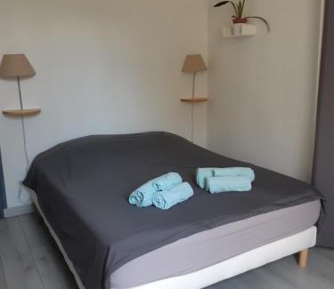 Chinon Apartment | Le murier ensoleillé