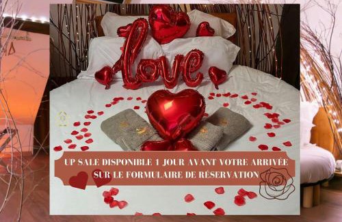 Vierzon Apartment | Le Nichoir Cosy : Évasion Bien-être et Massage