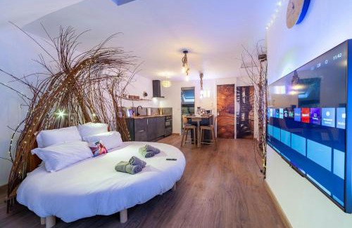 Vierzon Apartment | Le Nichoir Cosy : Évasion Bien-être et Massage