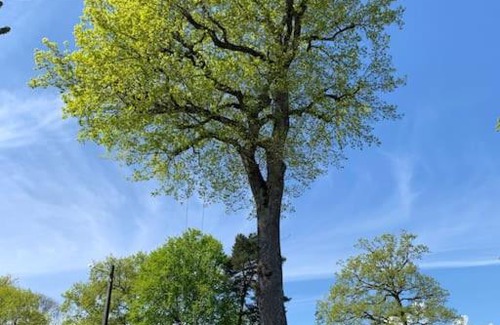 Sciez House | Le Nid : Adorable guest house à 2 pas du lac Léman