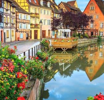 Selestat Apartment | Le nid des Pruniers - F2 au calme - parking privé