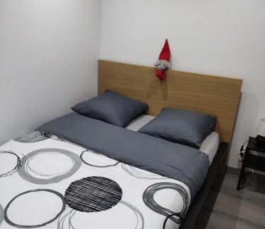 Zillisheim Apartment | Le nid du colibri appartement entier F1 à 5 mn de Mulhouse