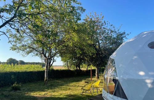 Faverolles Other | Le Nid du Tui