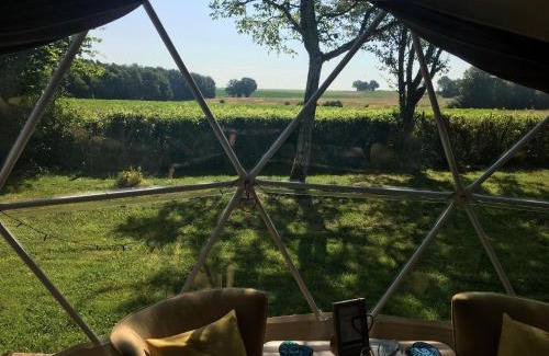 Faverolles Other | Le Nid du Tui