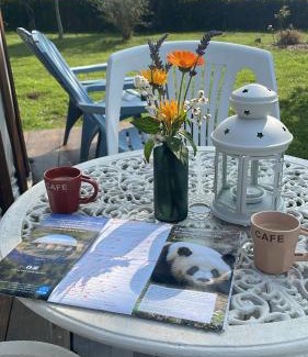 Faverolles Other | Le Nid du Tui