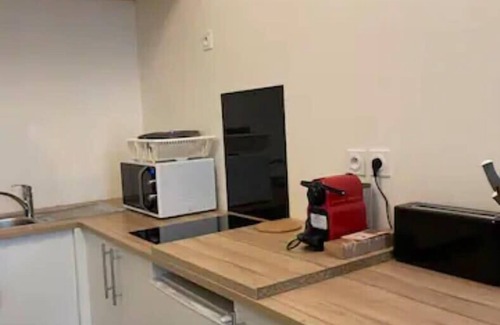 Richard Vitton - Chambovet Apartment | Le Petit Balzac - Cozy 2 People - Villeurbanne