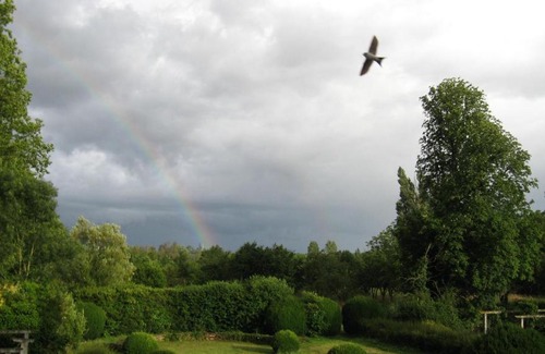 Chateau-la-Valliere Bed & Breakfast | Le Petit Bois