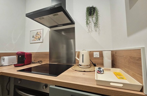 Saint-Brieuc Apartment | Le Petit Cocon De Saint-Brieuc