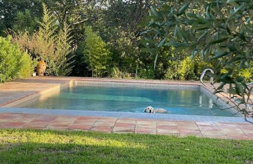 Ramatuelle Villa | Le Petit Domaine