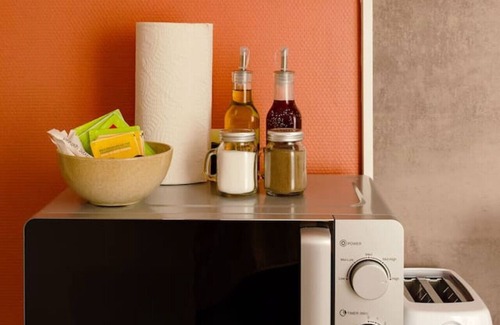 Cœur de Ville Apartment | Le Petit Pasteur - 25 rue Pasteur - Vichy