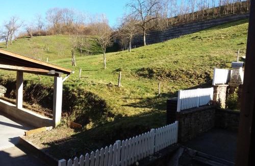 Sainte-Marie-aux-Mines Apartment | Le petit St Blaise