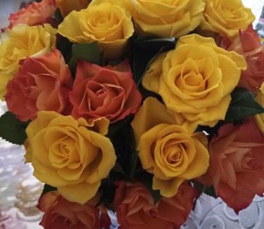 Molinetto Bed & Breakfast | Le piante di casa SaMar