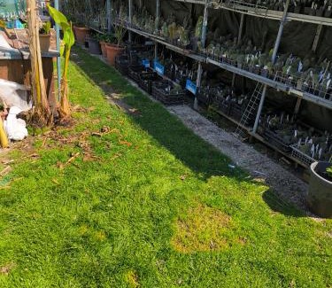 Molinetto Bed & Breakfast | Le piante di casa SaMar