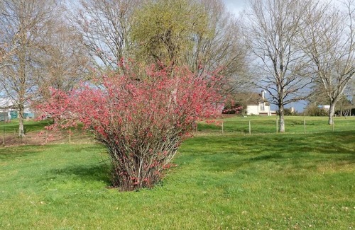 Milhac House | Le Pigeonnier - MILHAC