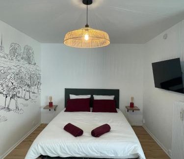 Faubourg North Apartment | Le Pinot - Centre-ville - Gare à 5 mn