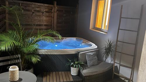Sainte-Clotilde Centre House | Le Pluméria - T1 avec un SPA privatif