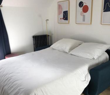 Centre-ville rive gauche Apartment | Le Quarante cinq -4