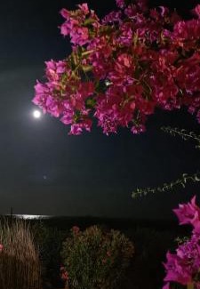 Ghisonaccia Apartment | Le Rêve de Mer