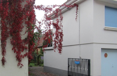 Saint-Amarin Apartment | "Le relais Bleu" at the foot of the mountain, spacious, quiet, terrace + garden, 4 + 2pers