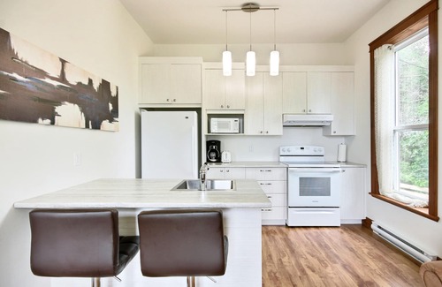 Desjardins Apartment | Le Roméo | Exceptional environment | BBQ & Office |