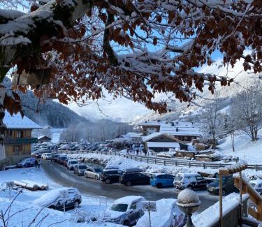 Le Grand-Bornand Hotel | Le Rookie Mountain