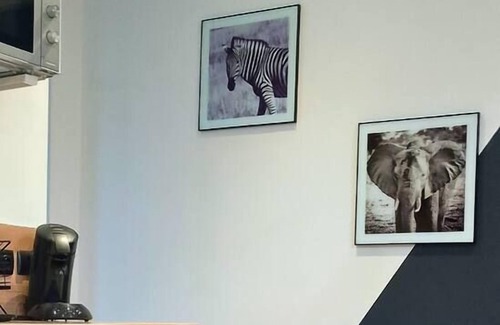 Lens Apartment | Le Safari Lensois