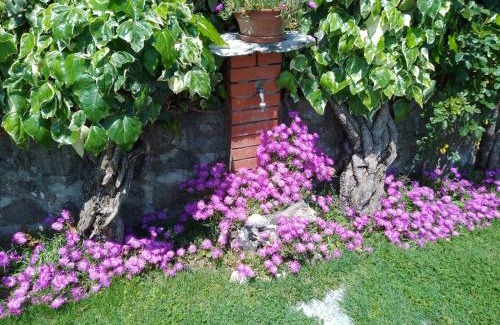 Mologno House | Le sette fontane