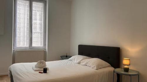 Macon Apartment | Le St Antoine Central - Gare