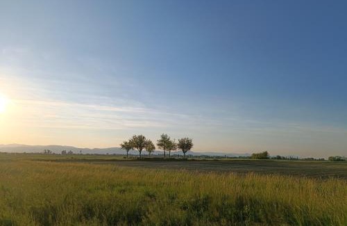 Urschenheim Apartment | Le Studio D'Edouard