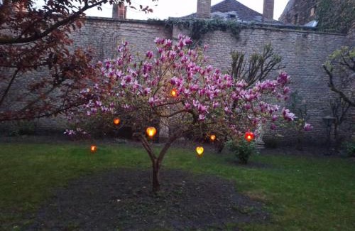 Sedan House | Le temps suspendu