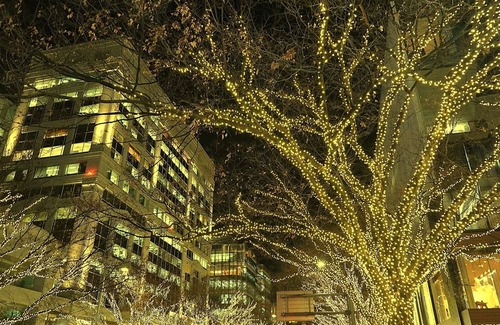 Minamiaoyama House | Le Tournesol d'Omotesando Family et Enfants