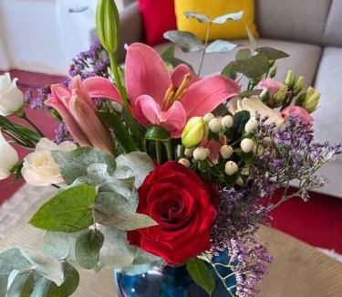 Montrichard Val de Cher Apartment | Le Trésor 4 pers à 20 minutes de Beauval