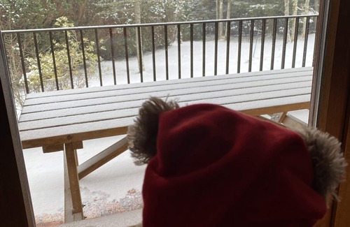 La Bresse House | LE VERTBRUCHE - Gîte 15 pers - LA BRESSE