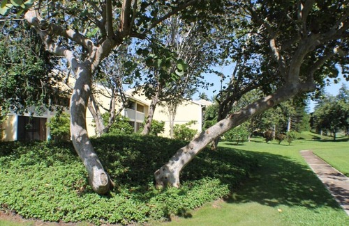Kahuku Condo | Legal Short Term on Golf Course, Upper Floor - Have a relaxing vacation in Oahu